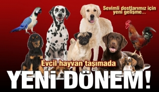 Evcil Hayvanlar i&ccedil;in Yolcu Otob&uuml;s&uuml;nde Taşıma Kararı! 