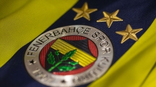 Fenerbah&ccedil;e Luiz Gustavo'yu transfer etti