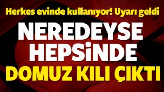 "Fır&ccedil;aların y&uuml;zde 90'nı domuz kılından yapılıyor"