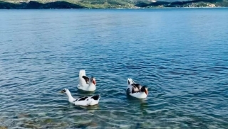 GEZSEN ISPARTA: EĞİRDİR G&Ouml;L'&Uuml;