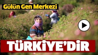 G&uuml;l&uuml;n Gen Merkezi T&uuml;rkiye'dir