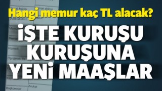 HANGİ MEMUR KA&Ccedil; TL ALACAK?