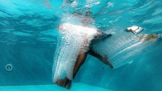 Havuza balıklama atlayan turist &ouml;ld&uuml; 