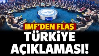 IMF'den flaş T&uuml;rkiye a&ccedil;ıklaması!