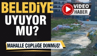 ISPARTA BELEDİYESİ UYUYOR MU?