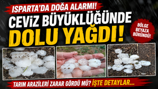 Isparta&rsquo;da Ceviz B&uuml;y&uuml;kl&uuml;ğ&uuml;nde Dolu Şoku