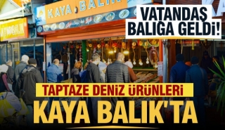 Isparta’da Taptaze Deniz Ürünleri İçin İlk Adres: Kaya Balık!