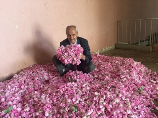 ISPARTA G&Uuml;L KOKUYOR&hellip; REKOLTE BEKLENTİMİZ
15-16 BİN TON CİVARINDA