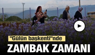 Isparta gülün, lavantanın ve zambağın başkenti