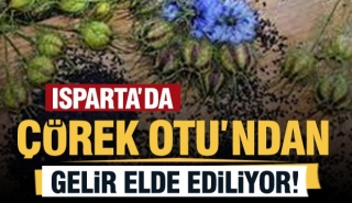 ​Isparta İl Tarım ve Orman M&uuml;d&uuml;rl&uuml;ğ&uuml; Tarafından Desteklenen &Ccedil;&ouml;rek Otu &Uuml;retimi