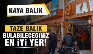 Isparta Kaya Balık’ta Tazelik Sezonu Başladı! Mevsimin En Lezzetli Balıkları Tezgahta