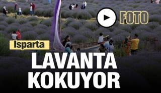 "Isparta lavanta kokuyor"