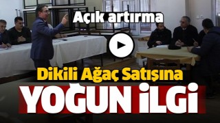 Isparta Orman B&ouml;lge M&uuml;d&uuml;rl&uuml;ğ&uuml; Dikili Emval Satışları Devam Ediyor 