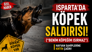 Isparta Sanayi Sitesi'nde K&ouml;pek Saldırısı
