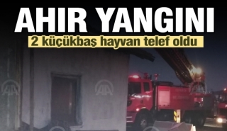 Isparta'da ahır yangını