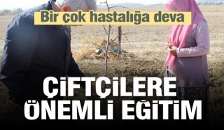 Isparta'da bir &ccedil;ok hastalığa deva bitki i&ccedil;in eğitim...