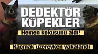 Isparta'da çeşitli suçlardan aranan şahsın evine operasyon!