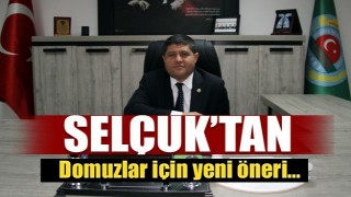 ISPARTA'DA DOMUZLAR İÇİN YENİ ÖNERİ