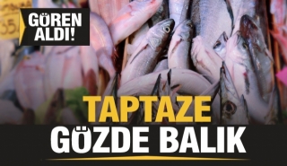 Isparta'da G&ouml;zde Balık Tezgahlarından G&ouml;r&uuml;nt&uuml;ler