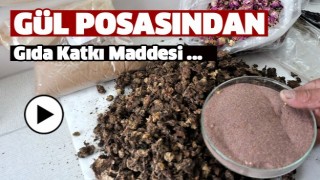 Isparta'da G&uuml;l &Ccedil;i&ccedil;eği Posası Gıda Katkı Maddesine D&ouml;n&uuml;ş&uuml;yor...
