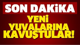 ISPARTA'DA KEDİ VE K&Ouml;PEKLER YENİ YUVALARINA KAVUŞTU