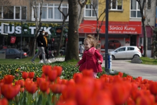 Isparta'da Laleler g&ouml;rsel ş&ouml;len sunuyor