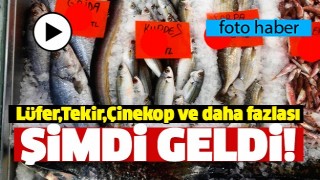 ISPARTA'DA L&Uuml;FER,&Ccedil;İNEKOP,&Ccedil;UPRA PALAMUT VE DAHA FAZLASI BU BALIK&Ccedil;IDA 