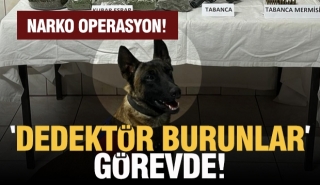 ISPARTA'DA NARKOTİK OPERASYON!