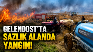 Isparta'da Sazlık Alanda Korkutan Yangın: Ekipler ve Vatandaşlar Seferber Oldu!