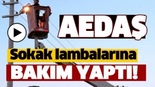 ISPARTA'DA SOKAK LAMBALARINA BAKIM YAPILDI