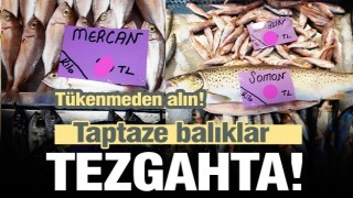 ISPARTA'DA TAPTAZE BALIKLAR TEZGAHTA YERİNİ ALDI