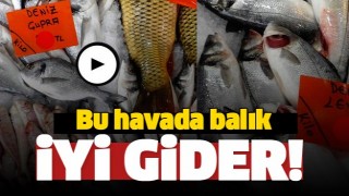 ISPARTA'DA TAZE BALIKLAR DOSTLAR BALIK&Ccedil;ILIK TEZGAHLARINA GELDİ