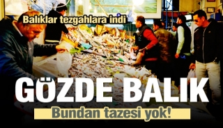 Isparta'da taze balıklar tezgahlara indi: Gözde Balık