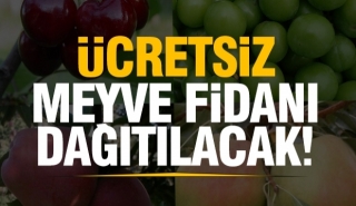 Isparta'da &uuml;cretsiz 10.000
adet armut fidanını &uuml;cretsiz dağıtacak