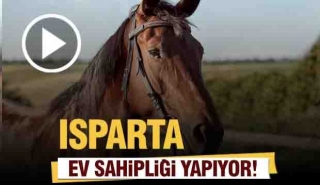 Isparta'da uluslararası bir organizasyon ger&ccedil;ekleşiyor