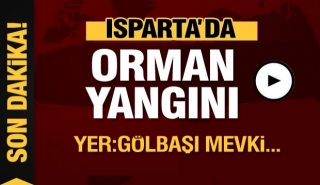 Isparta'da yeni bir orman yangını daha!