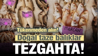 ISPARTA'NIN EN TAZE BALIKLARI TEZGAHTA