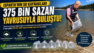 Isparta'nın su kaynaklarına 375 bin sazan yavrusu bırakıldı