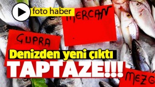 İŞTE ISPARTA'DA HAFTA SONU BALIKLARI