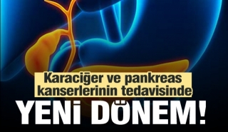 Karaciğer ve pankreas kanserlerinin tedavisinde yeni dönem