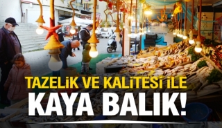 Kaya Balık'ta Balıklar her zaman çok taze ve lezzetli