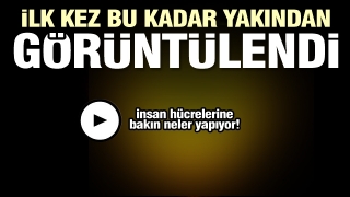 Koronavir&uuml;s ilk kez bu kadar yakından g&ouml;r&uuml;nt&uuml;lendi