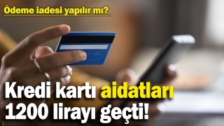 Kredi Kartı Aidatları 1200 Lirayı Aştı: Geri İade Mümkün mü?