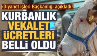 Kurbanlık vekalet &uuml;cretleri belli oldu