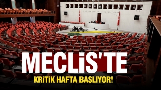 Meclis'te Kritik Hafta Başlıyor!