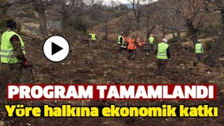 Odun Dışında Yeni Vizyon Tr&uuml;f Mantarı