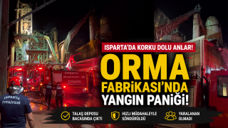 ORMA Fabrikası'nda talaş deposu bacasında yangın paniği