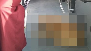 Otob&uuml;s&uuml;n sevimli davetsiz misafiri 