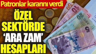 &Ouml;zel Sekt&ouml;rde &lsquo;Ara Zam&rsquo; Hesapları