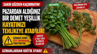 Pazardan Aldığınız Bir Demet Yeşillik Hayatınızı Tehlikeye Atabilir